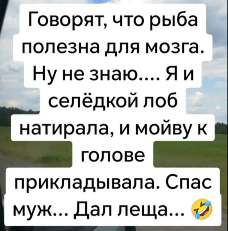 Говорят что рыба полезна для мозга Ну не знаюЯи селёдкой лоб натирала и мойву к голове прикладывала Спас муж Дал леща 2