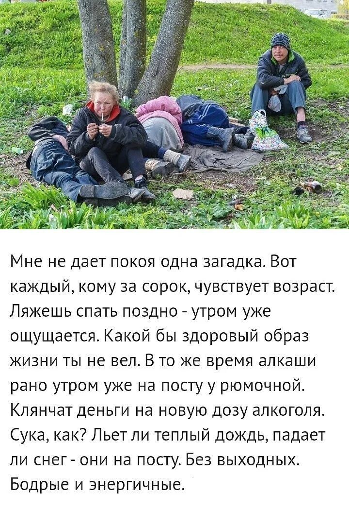 Мне не дает покоя одна загадка Вот каждый кому за сорок чувствует возраст Ляжешь спать поздно утром уже ощущается Какой бы здоровый образ жизни ты не вел В то же время алкаши рано утром уже на посту у рюмочной Клянчат деньги на новую дозу алкоголя Сука как Льет ли теплый дождь падает ли снег они на посту Без выходных Бодрые и энергичные