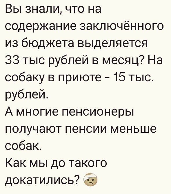 Вы знали что на содержание заключённого из бюджета выделяется 33 тыс рублей в месяц На собаку в приюте 15 тыс рублей А многие пенсионеры получают пенсии меньше собак Как мы до такого докатились