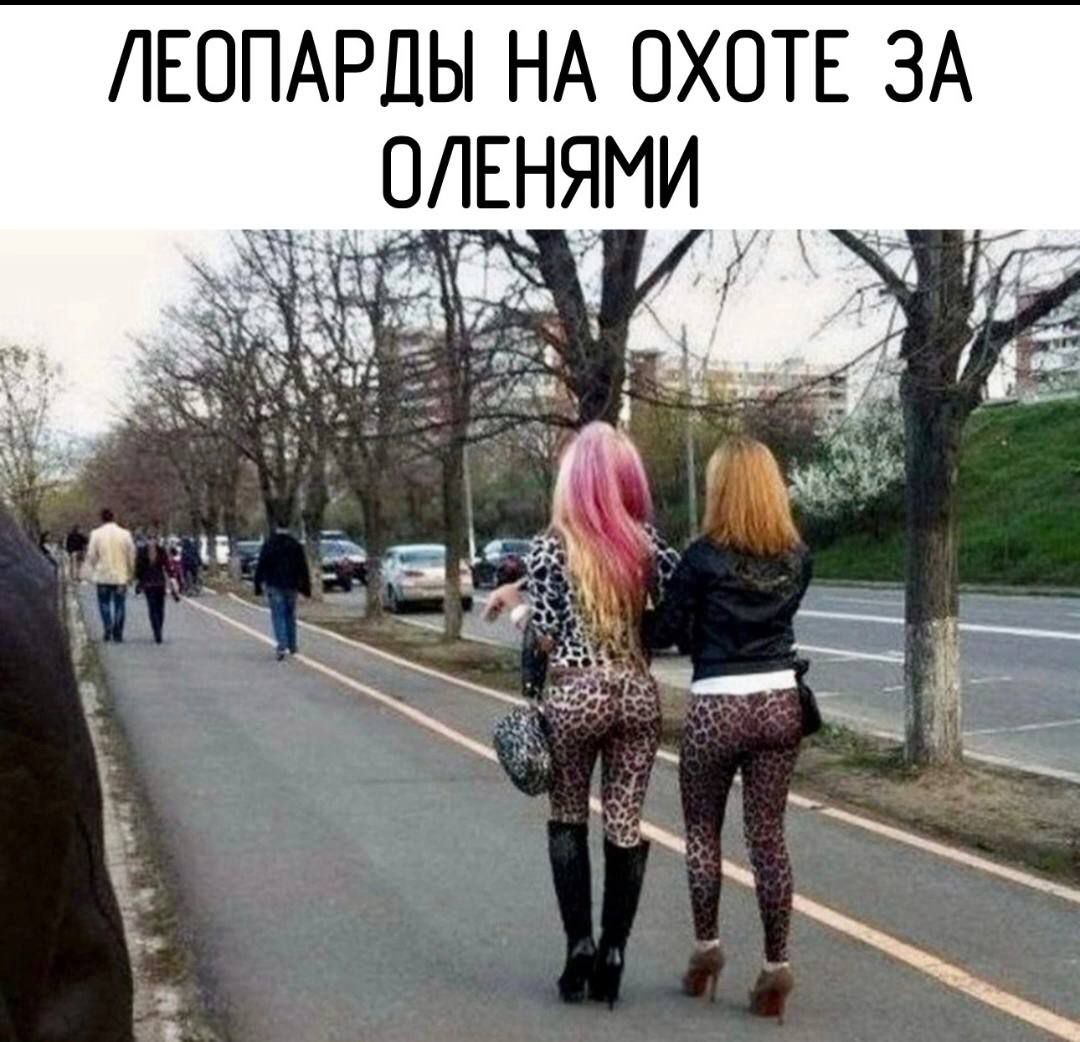 ЛЕОПАРДЫ НА ОХОТЕ ЗА ОЛЕНЯМИ