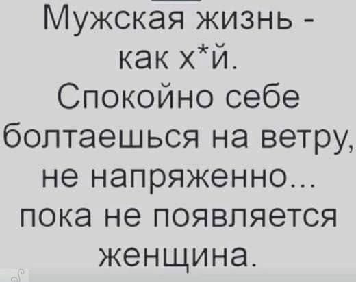 Мужская жизнь как хй Спокойно себе болтаешься на ветру не напряженно пока не появляется женщина