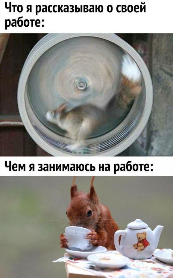 Что я рассказываю о своей работе