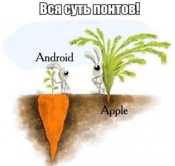 Всясутыпонтов