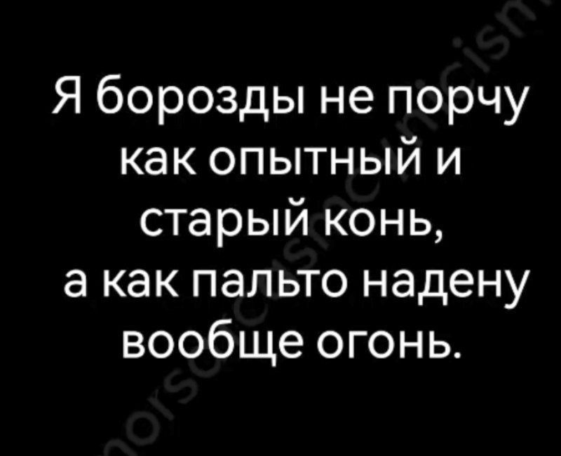 Я борозды не порчу как опытный и старый конь а как пальто надену вообще огонь