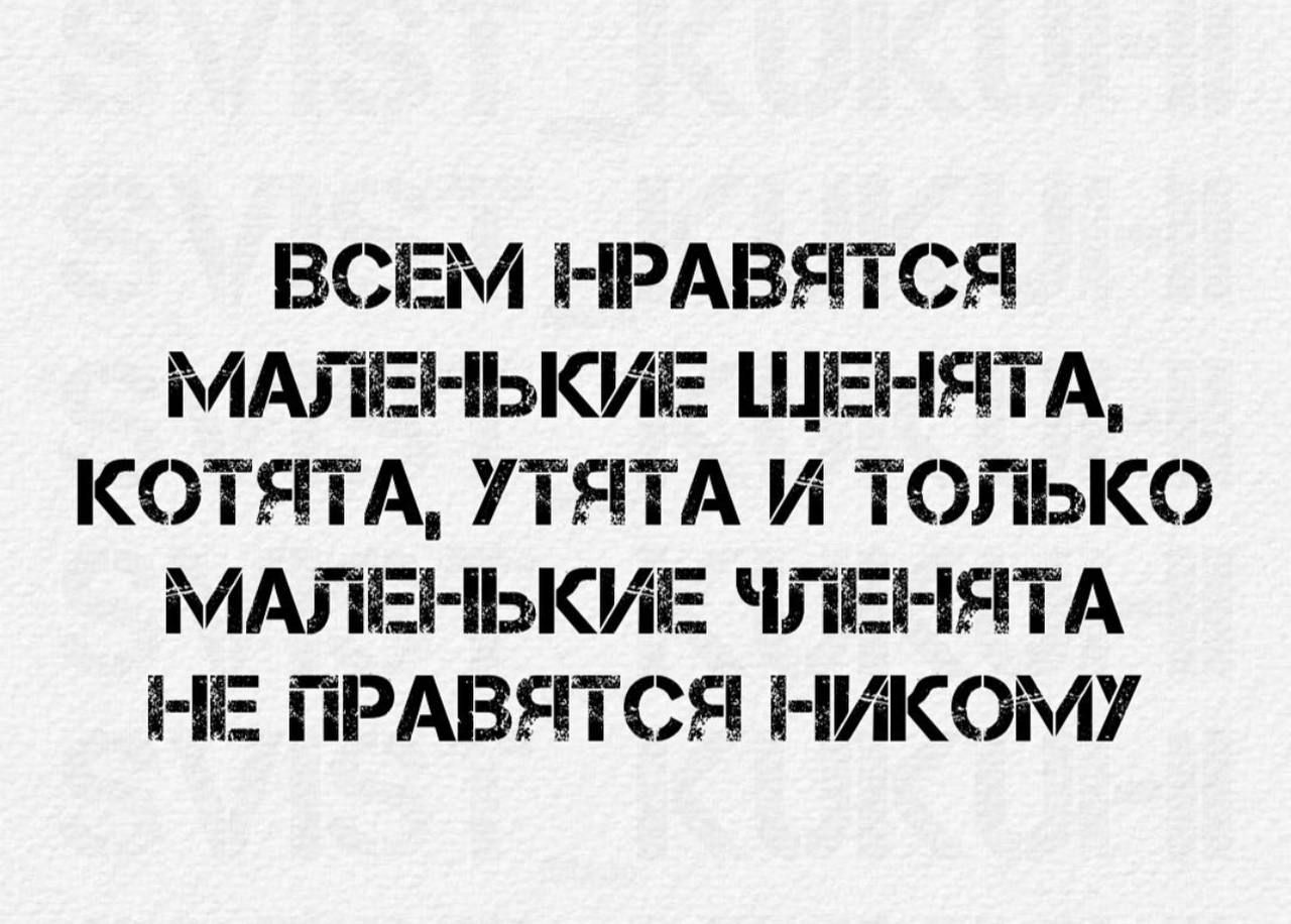 ВСЕМ НРАВЯТСЯ МАЛЕНЬКИЕ ЩЕНЯТА КОТЯТА УТЯТА И ТОЛЬКО МАЛЕНЬКИЕ ЧЛЕНЯТА НЕ ПРАВЯТСЯ НИКОМУ