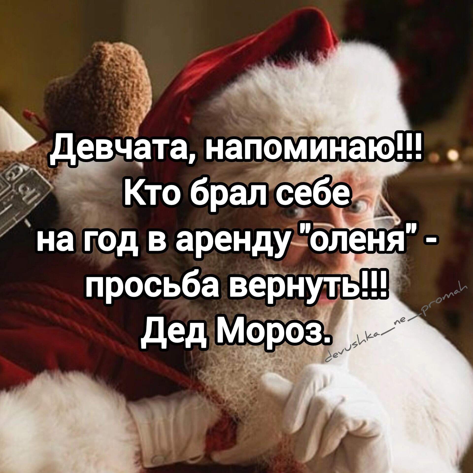 Девч ата напоминаю іжКто бралсебе на год в аренду оленя просьба вернуть Дед МОр_Ёбз