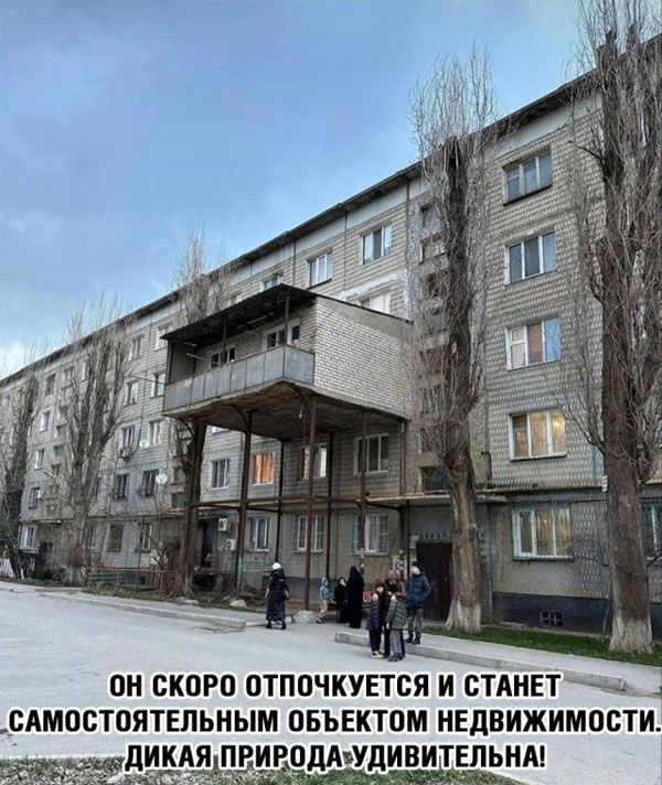 ОН СКОРО птппчкувтсяи СТАНЕТ САМОСТОЯТЕЛЬНЫМ ОБЪЕКТОМ НЕДВИЖИМОСТИ ОДАЗУДИВИТЕЛЬНА