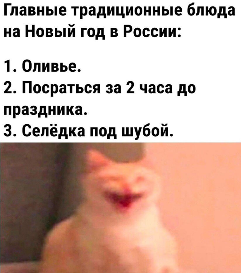 Главные традиционные блюда на Новый год в России 1 Оливье 2 Посраться за 2 часа до праздника 3 Селёдка под шубой