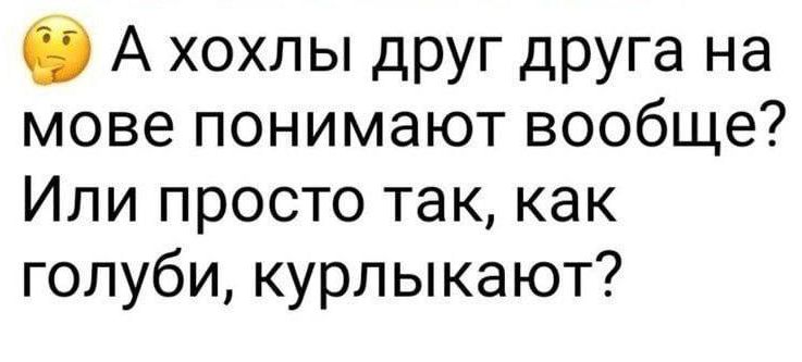 Э Ахохлы друг друга на мове понимают вообще Или просто так как голуби курлыкают