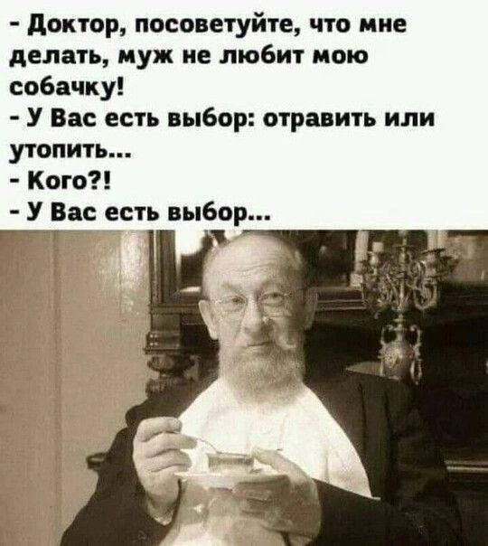 Доктор посоветуйте что мне делать муж не любит мою собачку У Вас есть выбор отравить или утопить Кого У Вас есть выбор ай ъ