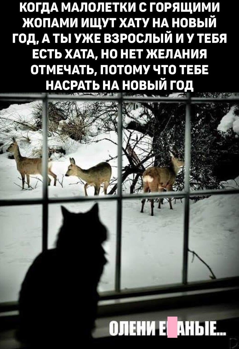 КОГДА МАЛОЛЕТКИ С ГОРЯЩИМИ ЖОПАМИ ИЩУТ ХАТУ НА НОВЫЙ ГОД А ТЫ УЖЕ ВЗРОСЛЫЙ И У ТЕБЯ ЕСТЬ ХАТА НО НЕТ ЖЕЛАНИЯ ОТМЕЧАТЬ ПОТОМУ ЧТО ТЕБЕ НАСРАТЬ НА НОВЫЙ ГОД р ее ВЕЛЛ аннна На со ОЛЕНИ ЕЙЛНЫЕ