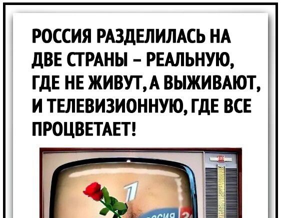 РОССИЯ РАЗДЕЛИЛАСЬ НА ДВЕ СТРАНЫ РЕАЛЬНУЮ ГДЕ НЕ ЖИВУТ А ВЫЖИВАЮТ И ТЕЛЕВИЗИОННУЮ ГДЕ ВСЕ ПРОЦВЕТАЕТ