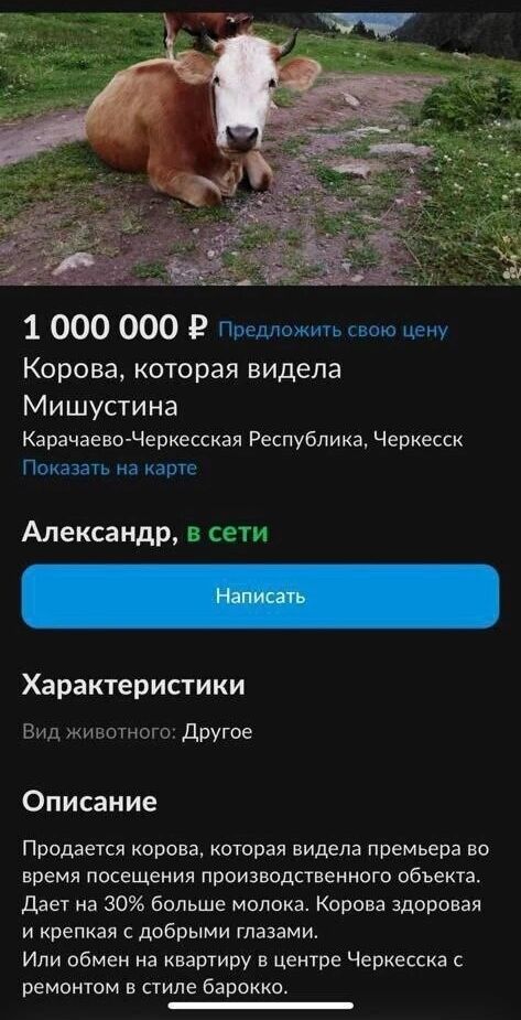 1 000 000 предложить свою цену Корова которая видела Мишустина Карачаево Черкесская Республика Черкесск Показать на карте Александр в сети Характеристики Вид животного Другое Описание Продается корова которая видела премьера во время посещения производственного объекта Дает на 30 больше молока Корова здоровая и крепкая с добрыми глазами Или обмен н