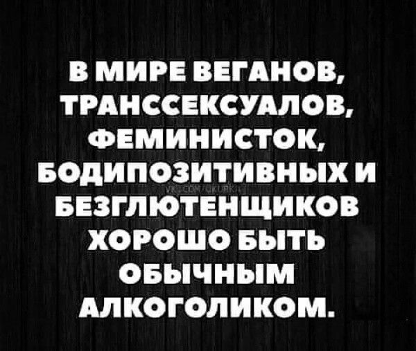 В МИРЕ ВЕГАНОВ ТРАНССЕКСУАЛОВ ФЕМИНИСТОК БОДИПОЗИТИВНЫХ И БЕЗГЛЮТЕНЩИКОВ ХОРОШО БЫТЬ ОБЫЧНЫМ АЛКОГОЛИКОМ