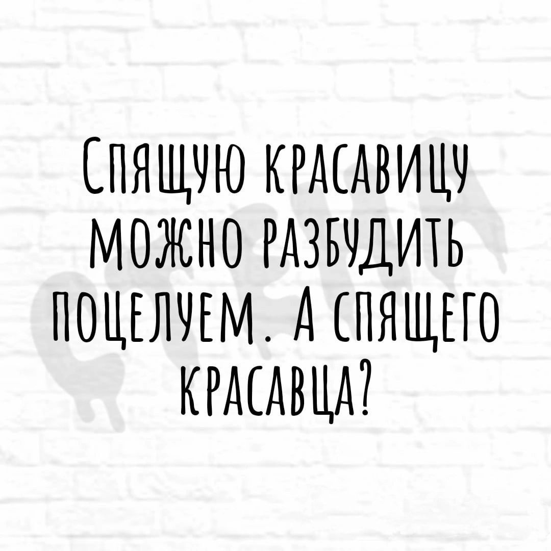 СПЯЩУЮ КРАСАВИЦУ МОЖНО РАЗВУДИТЬ ПОЦЕЛУЕМ А СПЯЩЕГО КРАСАВЦА