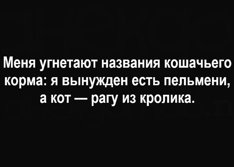 Меня угнетают названия кошачьего корма я вынужден есть пельмени а кот рагу из кролика