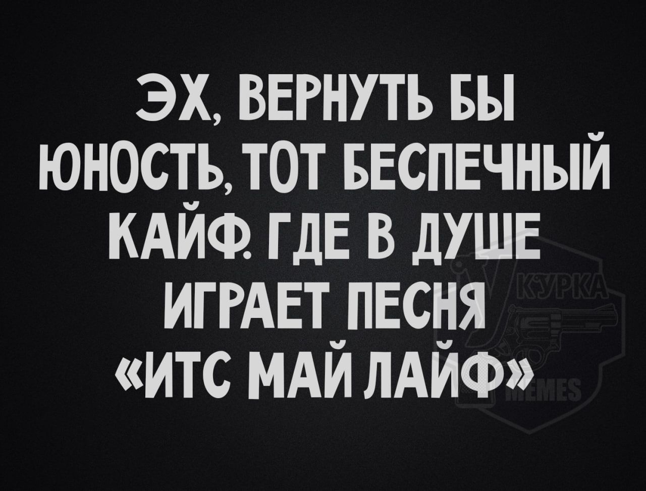 ЭХ ВЕРНУТЬ БЫ _ ЮНОСТЬ ТОТ БЕСПЕЧНЫЙ КАЙФ ГДЕ В ДУШЕ ИГРАЕТ ПЕСНЯ ИТС МАЙ ЛАЙФ