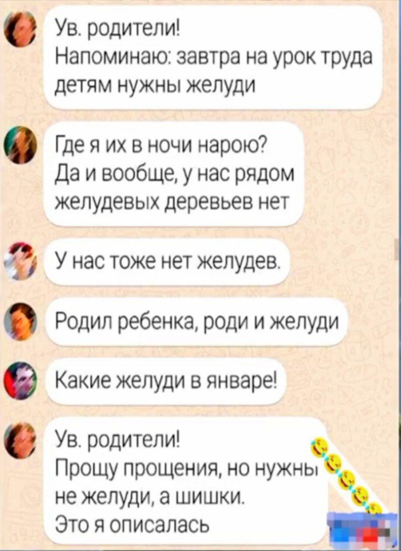 ее Ф Ув родители Напоминаю завтра на урок труда детям нужны желуди Гдея их в ночи нарою Даи вообще у нас рядом желудевых деревьев нет У нас тоже нет желудев Родил ребенка роди и желуди Какие желуди в январе Ув родители Прощу прощения но нужны не желуди а шишки Это я описалась