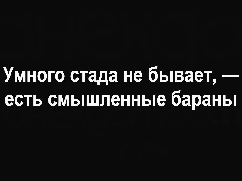 Умного стада не бывает есть смышленные бараны