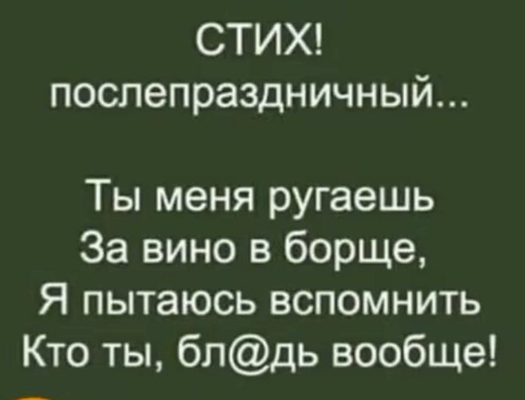 СТИХ послепраздничный Ты меня ругаешь За вино в борще Я пытаюсь вспомнить Кто ты блдь вообще