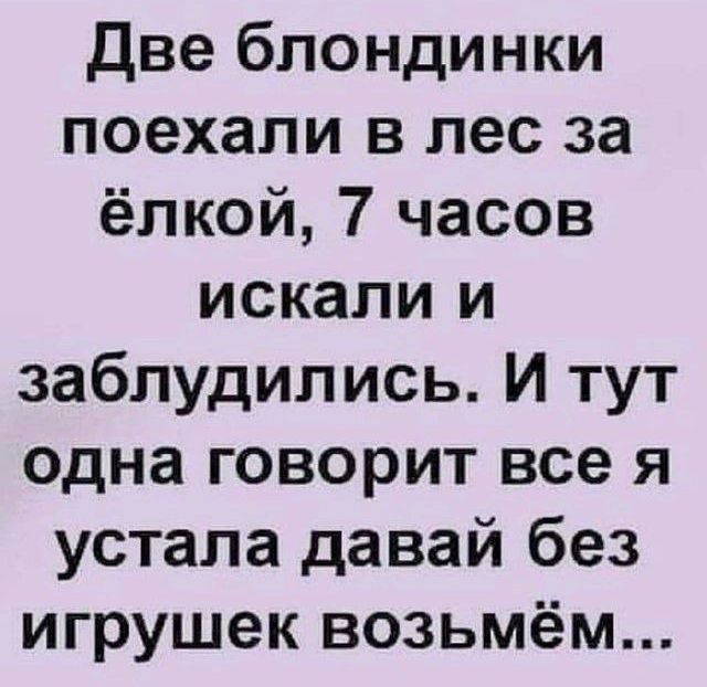 Две блондинки поехали в лес за ёлкой 7 часов искали и заблудились И тут одна говорит все я устала давай без игрушек возьмём