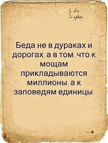 Беда не в дураках и дорогах а втом чток Э мощам прикладываются миллионы ак заповедям единицы 5 _ я