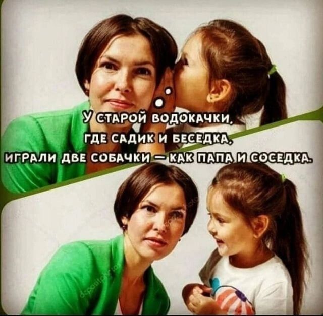 гдздики ИГРАЛИ ДВЕ СОБАЧКИ