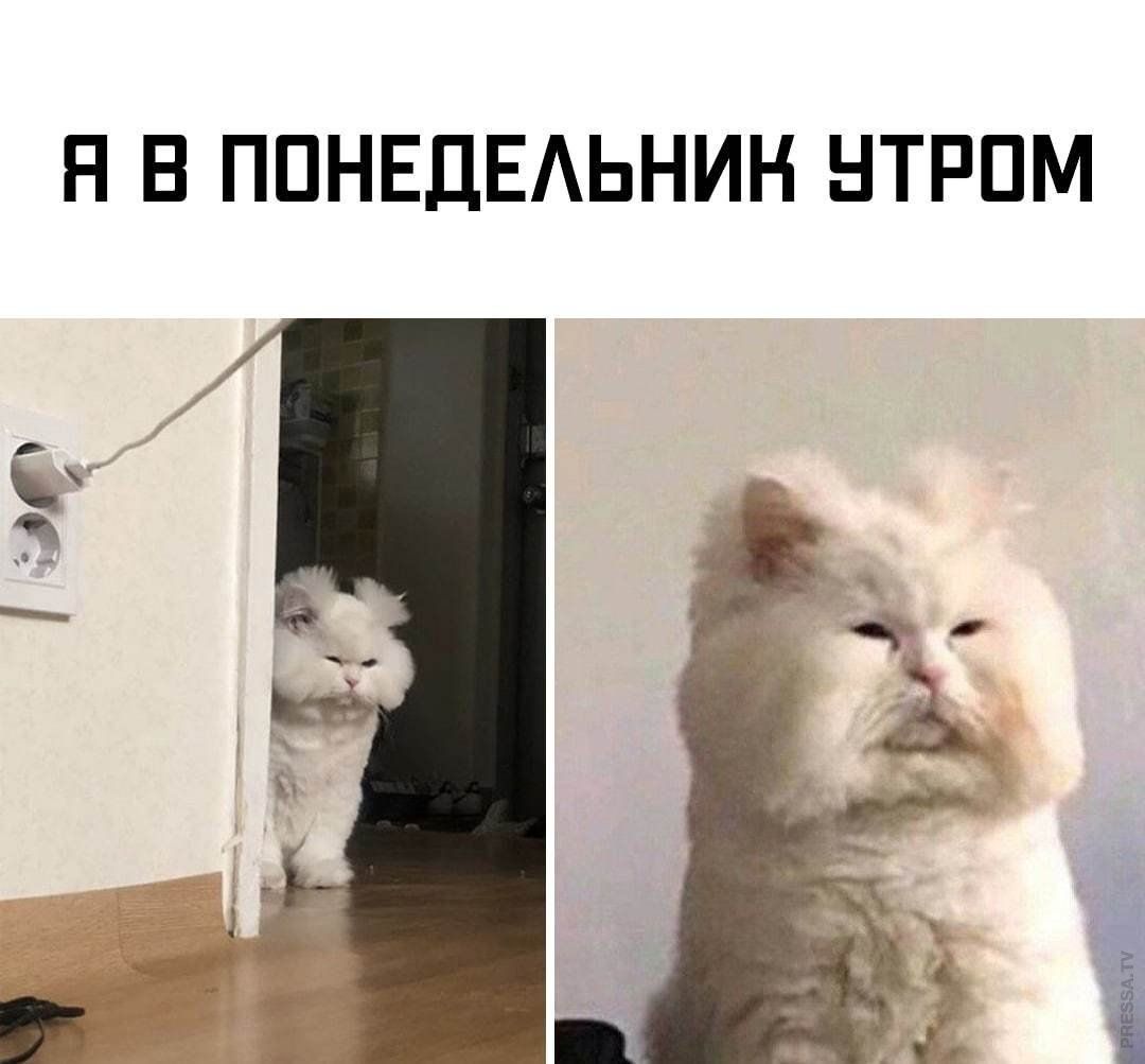 Я В ПОНЕДЕЛЬНИК УТРОМ э