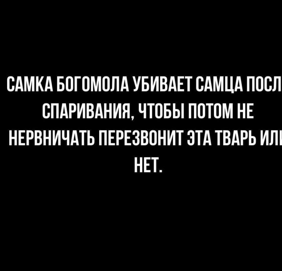 САМКА БОГОМОЛА УБИВАЕТ САМЦА ПОСЛ СПАРИВАНИЯ ЧТОБЫ ПОТОМ НЕ НЕРВНИЧАТЬ ПЕРЕЗВОНИТ ЭТА ТВАРЬ ИЛ НЕТ