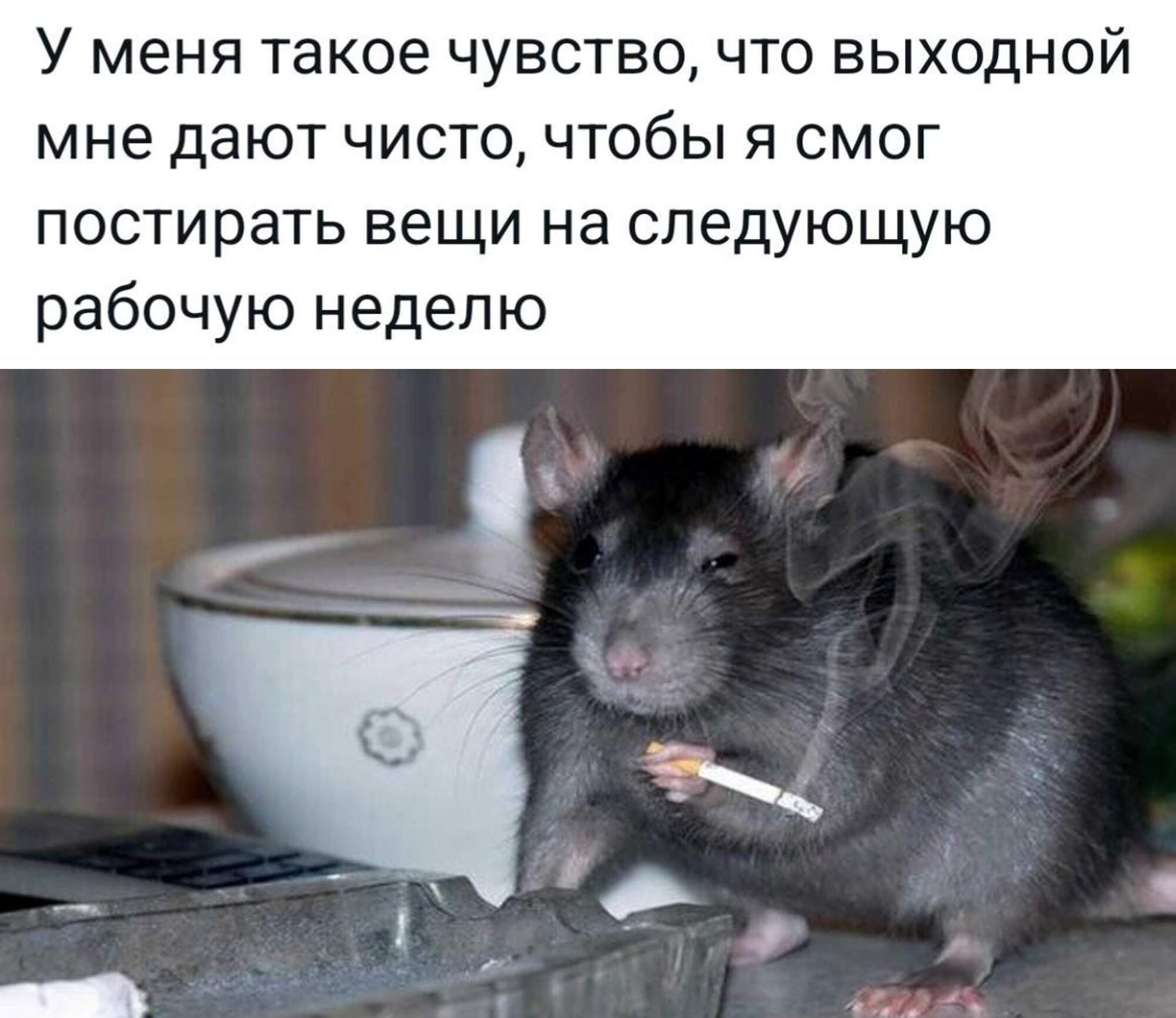 У меня такое чувство что ВЫХОДНОЙ мне дают чисто чтобы я смог постирать вещи на следующую рабочую неделю свур е