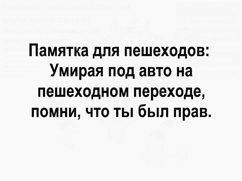 Памятка для пешеходов Умирая под авто на пешеходном переходе помни что ты был прав