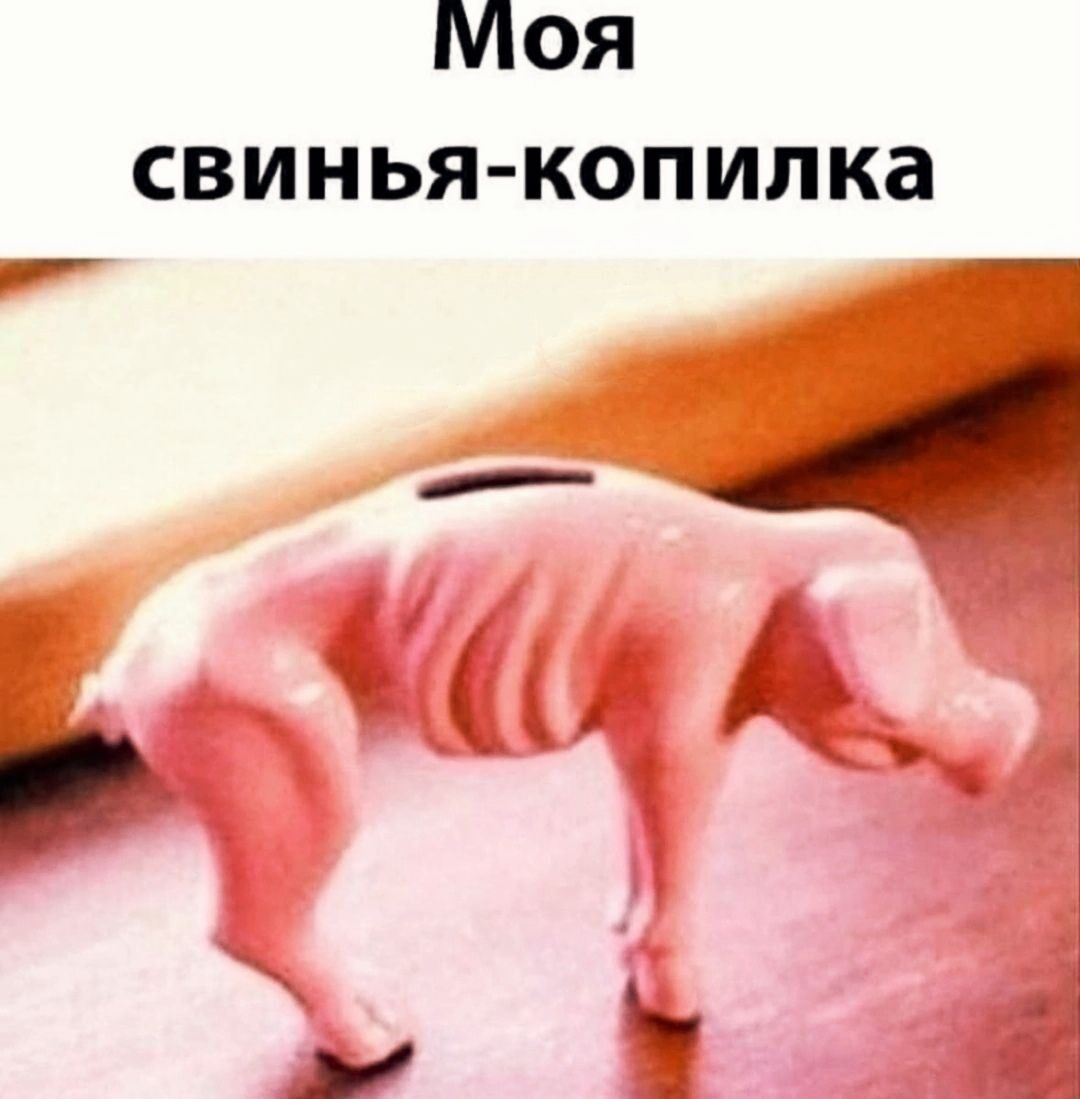 МояЯ свинья копилка