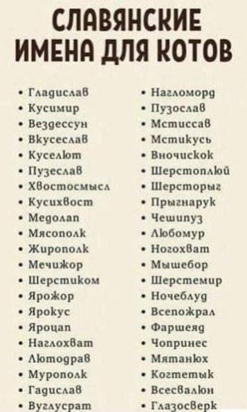 СЛАВЯНСКИЕ ИМЕНА ДЛЯ КОТОВ Гладисла8 Нагломорд Кусимир Пузослав Вездессун Мстиссав ВКусеслаВ МстиКусь Куселют ВночисКоК Пузеслав Шерстоплюй Хвостосмысл Шерсторыг Кусихвост ПрыгнаруК Медолап Чешипуз МясополК Любомур ЖирополК НогохВат Мечижор Мышебор ШерстиКом Шерстемир Ярожор Ночеблуд Ярокус ВсепоЖрал Яроцал Фаршеяд НаглохВат Чопринес Лютодра8 Мятан