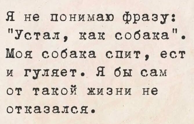 Я не понимаю фразу Устал как собака Моя собака спит ест и гуляет Я бы сам от такой жизни не отказался