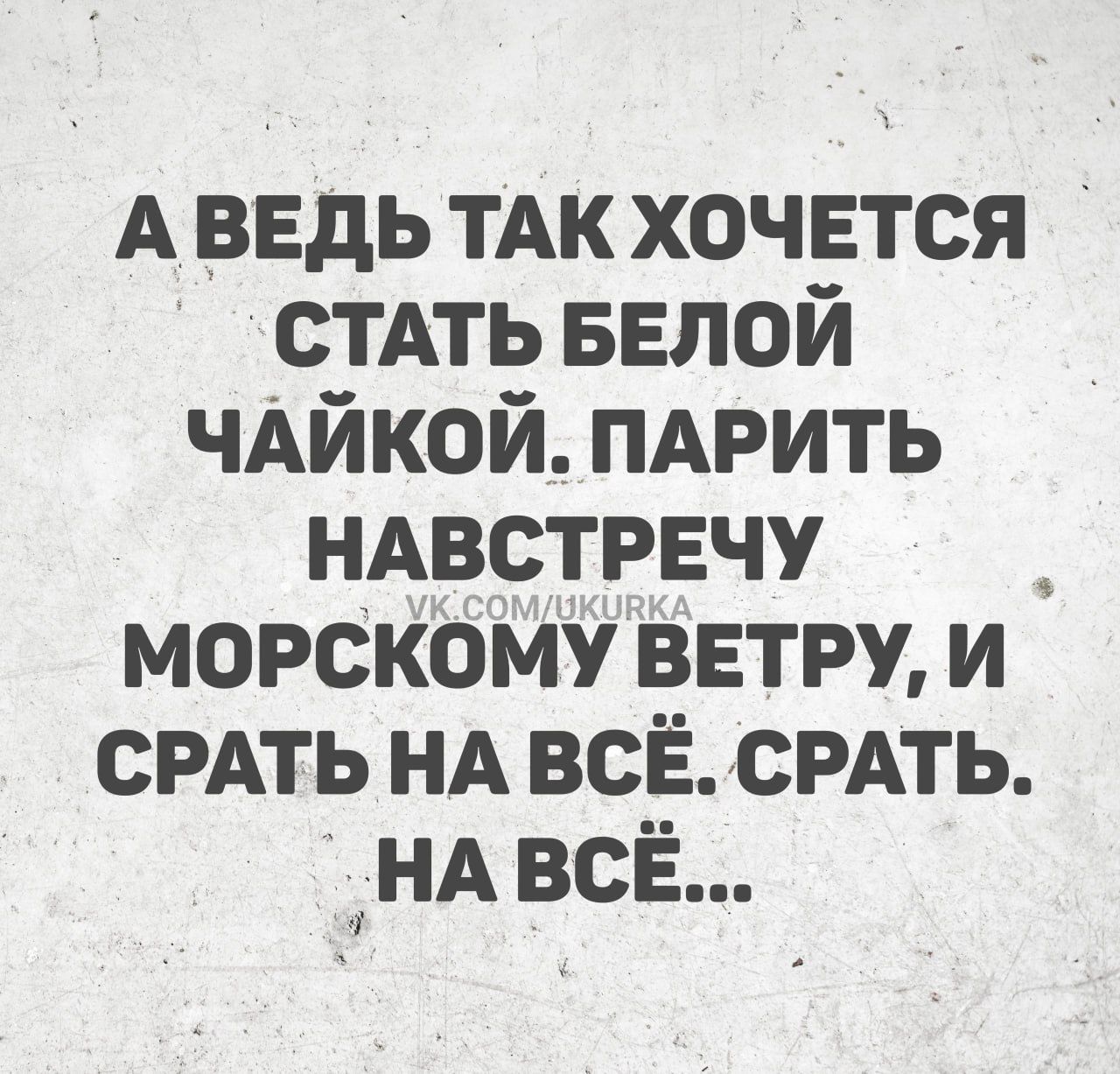 АВЕДЬ ТАК ХОЧЕТСЯ СТАТЬ БЕЛОЙ ЧАЙКОЙ ПАРИТЬ НАВСТРЕЧУ МОРСКОМУ ВЕТРУ И СРАТЬ НА ВСЁ СРАТЬ НАВСЁ