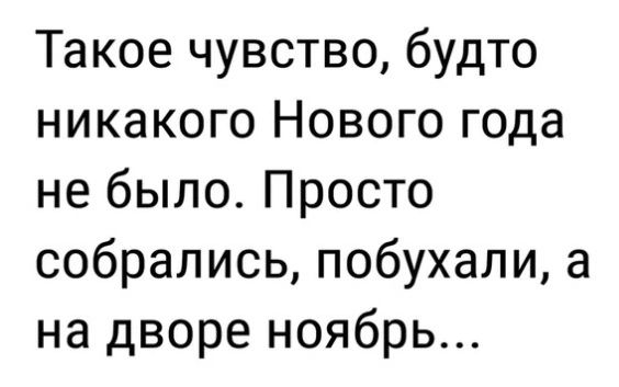 Такое чувство будто никакого Нового года не было Просто собрались побухали а на дворе ноябрь