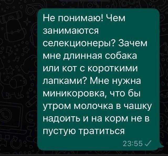 Не понимаю Чем занимаются селекционеры Зачем мне длинная собака или кот с короткими лапками Мне нужна миникоровка что бы утром молочка в чашку надоить и на корм не в пустую тратиться 2355