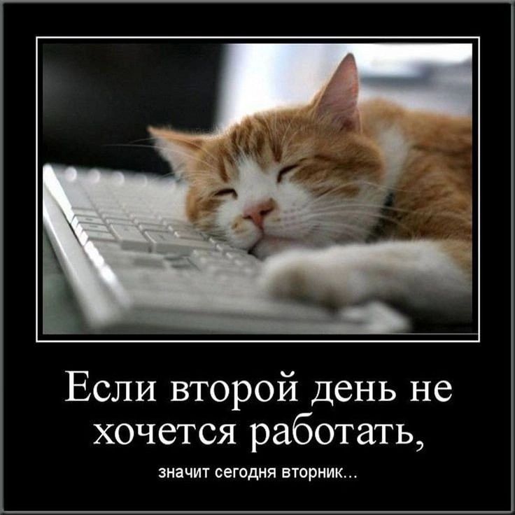 і Если второй день не хочется работать значит сегодня вторник
