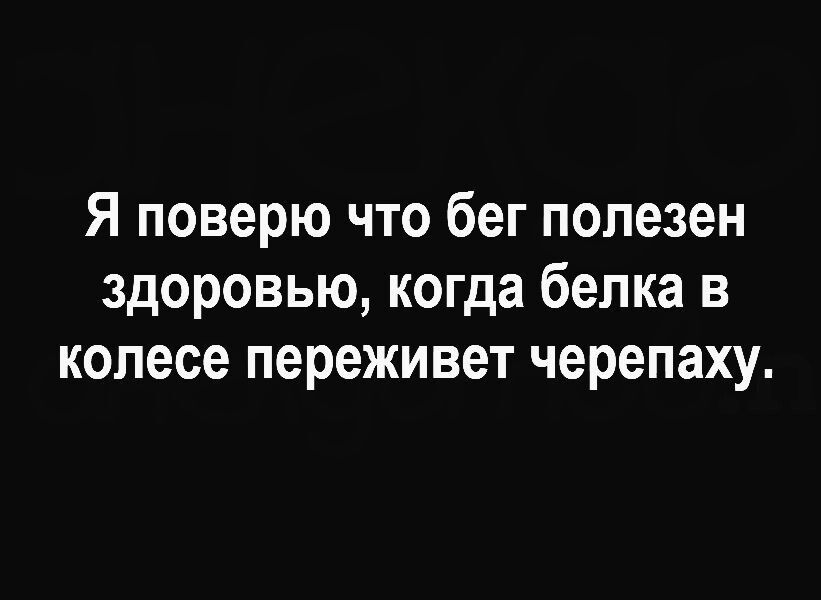 Я поверю что бег полезен здоровью когда белка в колесе переживет черепаху