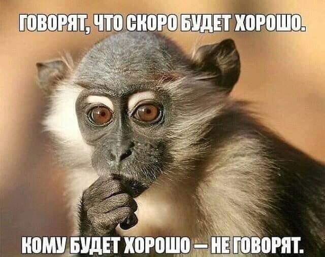 КОМУБУДЕТ ХОР