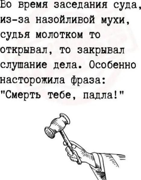 Бо время заседания суда из за назойливой мухи судья молотком то открывал то закрывал слушание дела Особенно насторожила фраза Смерть тебе падла