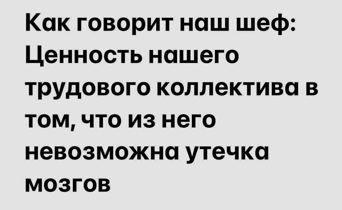 Как говорит наш шеф Ценность нашего трудового коллектива в том что из него невозможна утечка мозгов