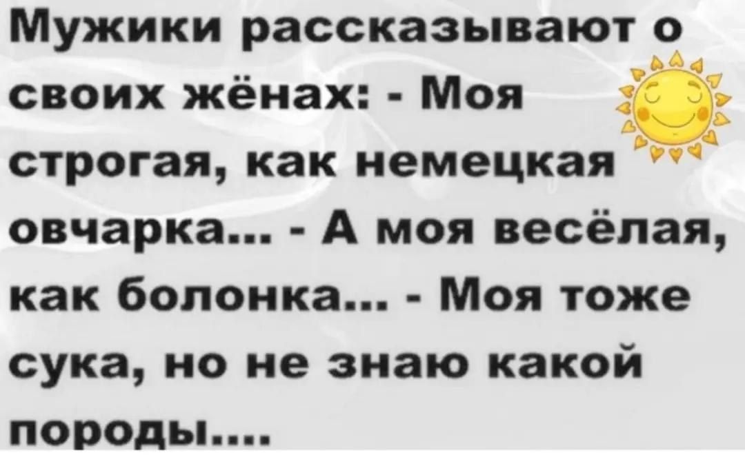 Мужики рассказывают о своих жёнах Моя У9ч строгая как немецкая овчарка А моя весёлая как болонка Моя тоже сука но не знаю какой породы