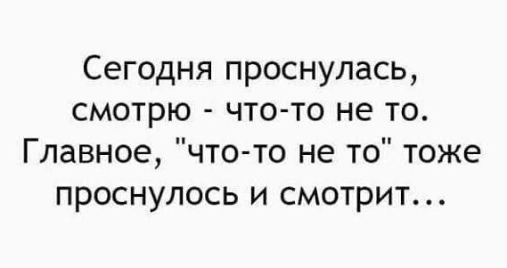 Сегодня проснулась смотрю что то не то Главное что то не то тоже проснулось и смотрит