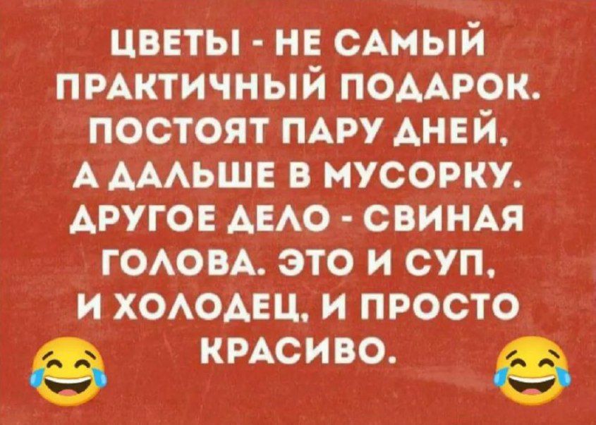 ЦВЕТЫ НЕ САМЫЙ ПРАКТИЧНЫЙ ПОДАРОК ПОСТОЯТ ПАРУ АНЕЙ А ДАЛЬШЕ В МУСОРКУ АРУГОЕ ДЕЛО СВИНАЯ ГОЛОВА ЭТО И СУП И ХОЛОДЕЦ И ПРОСТО 9 КРАСИВО е