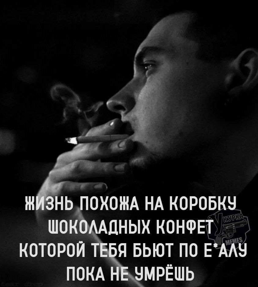 У _ ЖЁХОЖА НА КОРОБКУ ШОКОЛАДНЫХ КОНФЕТ КОТОРОЙ ТЕБЯ БЬЮТ ПО ЕАЛУ ПОКА МРЁШЬ