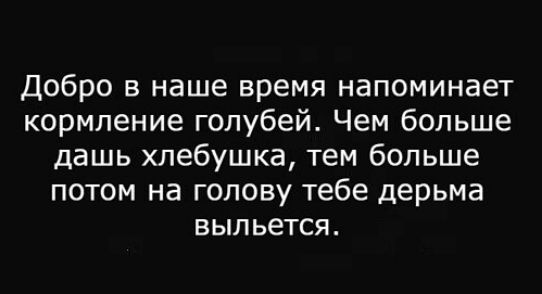 Добро в наше время напоминает кормление голубей Чем больше дашь хлебушка тем больше потом на голову тебе дерьма выльется