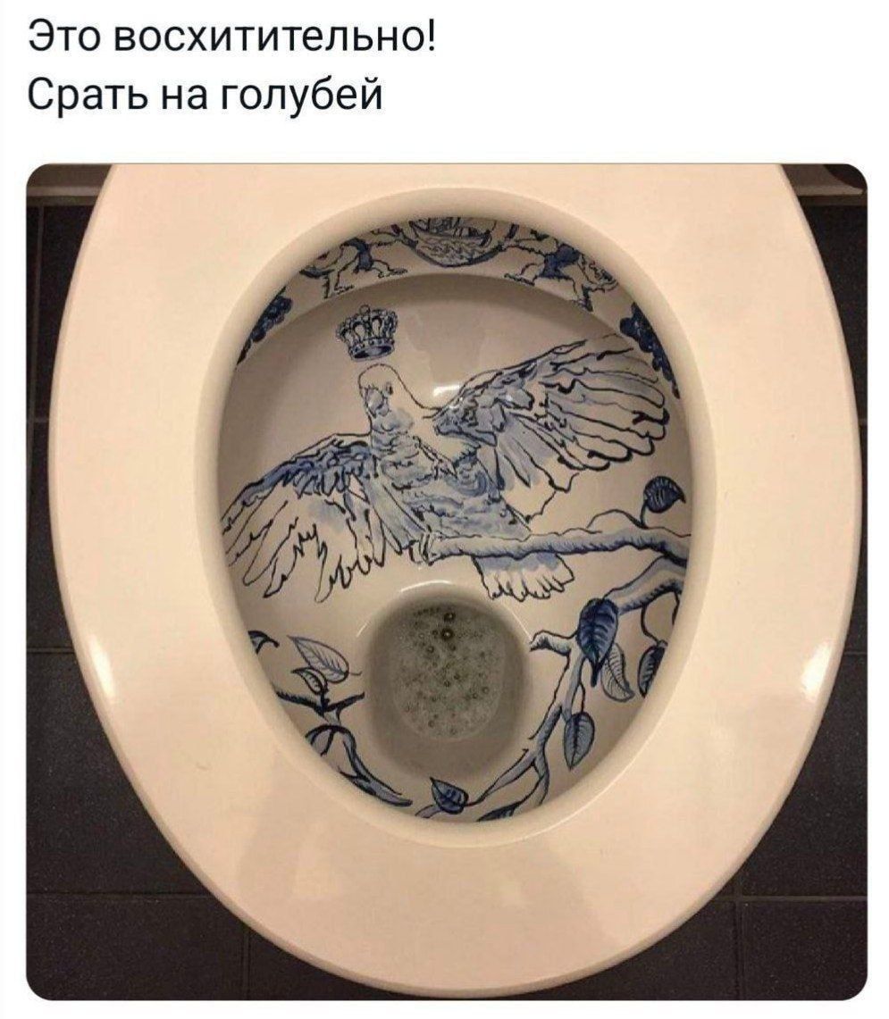 Это восхитительно Срать на голубей