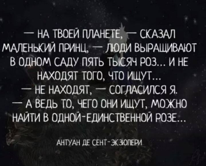 НА ТВОЕЙ ПЛАНЕДЕ СКАЗАЛ МАЛЕНЬКИЙ ПРИНЦ ЛЮДИ ВЫРАЩИВАЮТ В ОДНОМ САДУ ПЯТЬ ТЫСЯЧ РОЗ И НЕ НАХОДЯТ ТОГО ЧТО ИЩУТ НЕ НАХОДЯТ СОГЛАСИЛСЯ Я АВЕДЬ ТО ЧЕГО ОНИ ИЩУТ МОЖНО НАЙТИ В ОДНОЙ ЕДИНСТВЕННОЙ РОЗЕ АНТУАН ДЕ СЕНТ ЭКЗЮПЕРИ