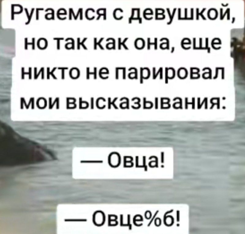 Ругаемся с девушкой но так как она еще никто не парировал мои высказывания